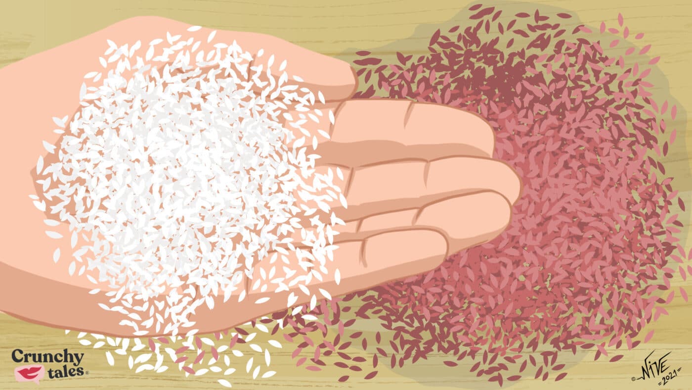 Types Of Rice | CrunchyTales