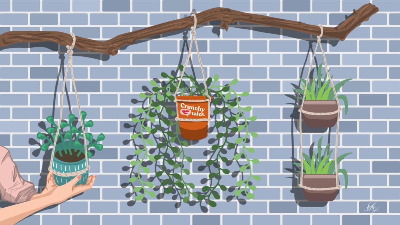 Hanging Planters | CrunchyTales