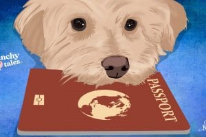 Travelling With Pets | CrunchyTales