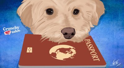 Travelling With Pets | CrunchyTales