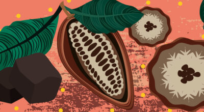 Raw Cacao | CrunchyTales