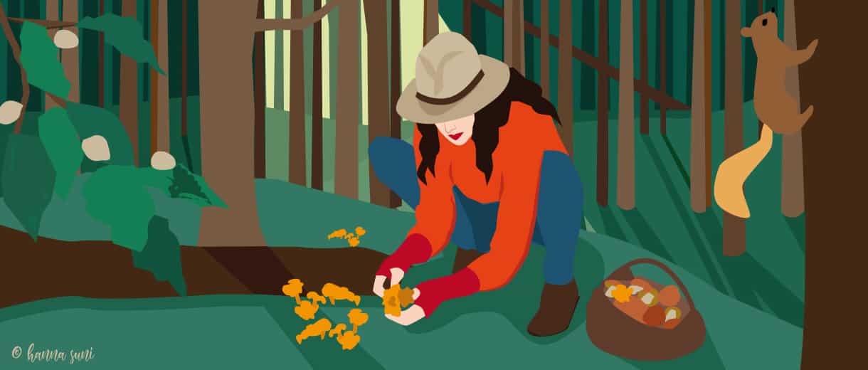 Foraging In Autumn | CrunchyTales